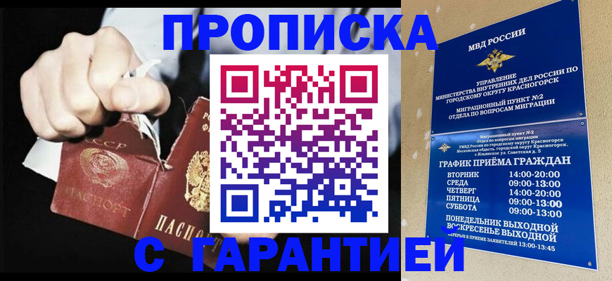 прописка от собственника в Сольцах